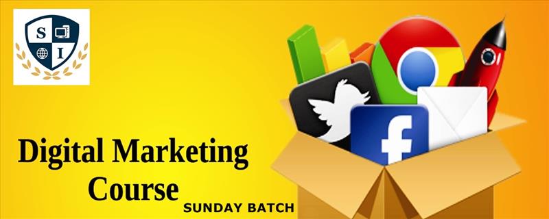 Digital Marketing Course for Sunday Batch (4 Sundays)
