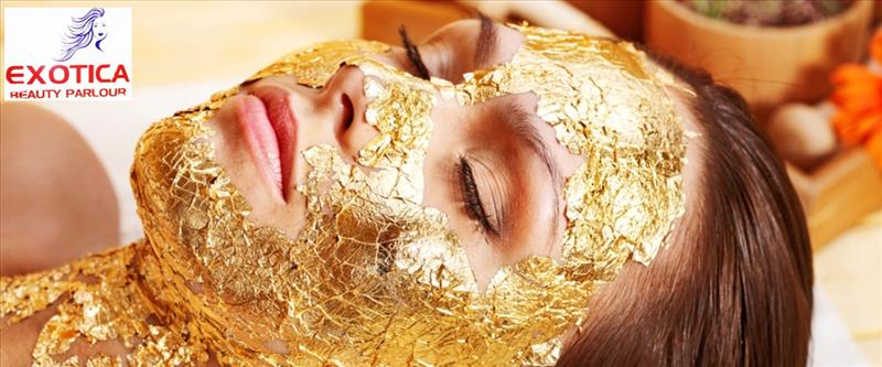 Shahnaz Gold/Pearl Facial + Mixed Fruit Cleanup + Face Massage + Half Hands Waxing + Half Leg Waxing + Normal Hair Cut + Eyebrows + Upper Lips